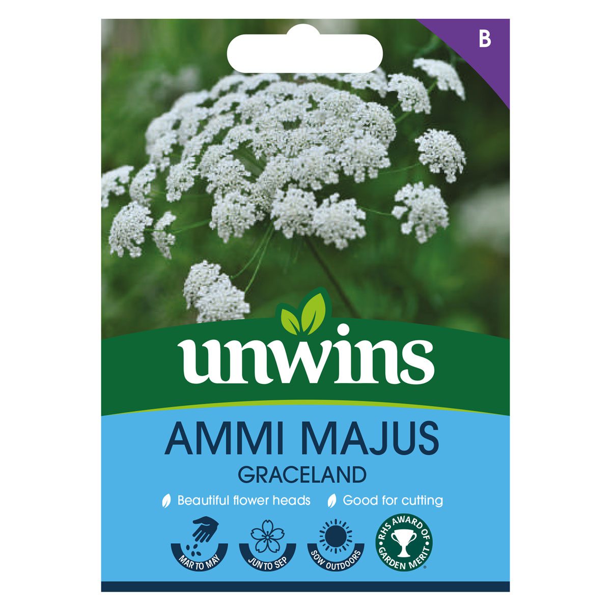 5051618030885 1 Ammi Majus Graceland Seeds.jpg